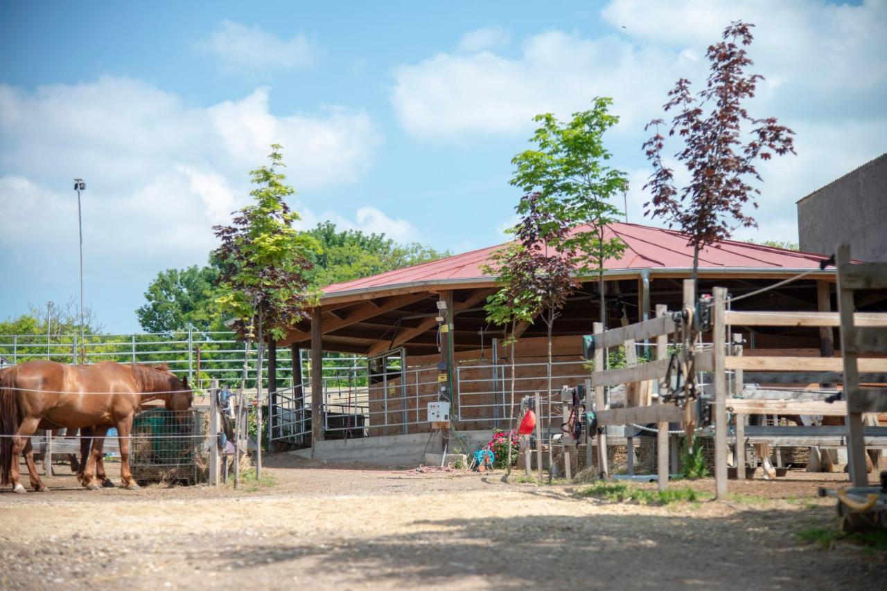 Ranchzimmer Am Hippo-Campus Reit- Und Therapiezentrum Deutsch Haslau Exteriör bild