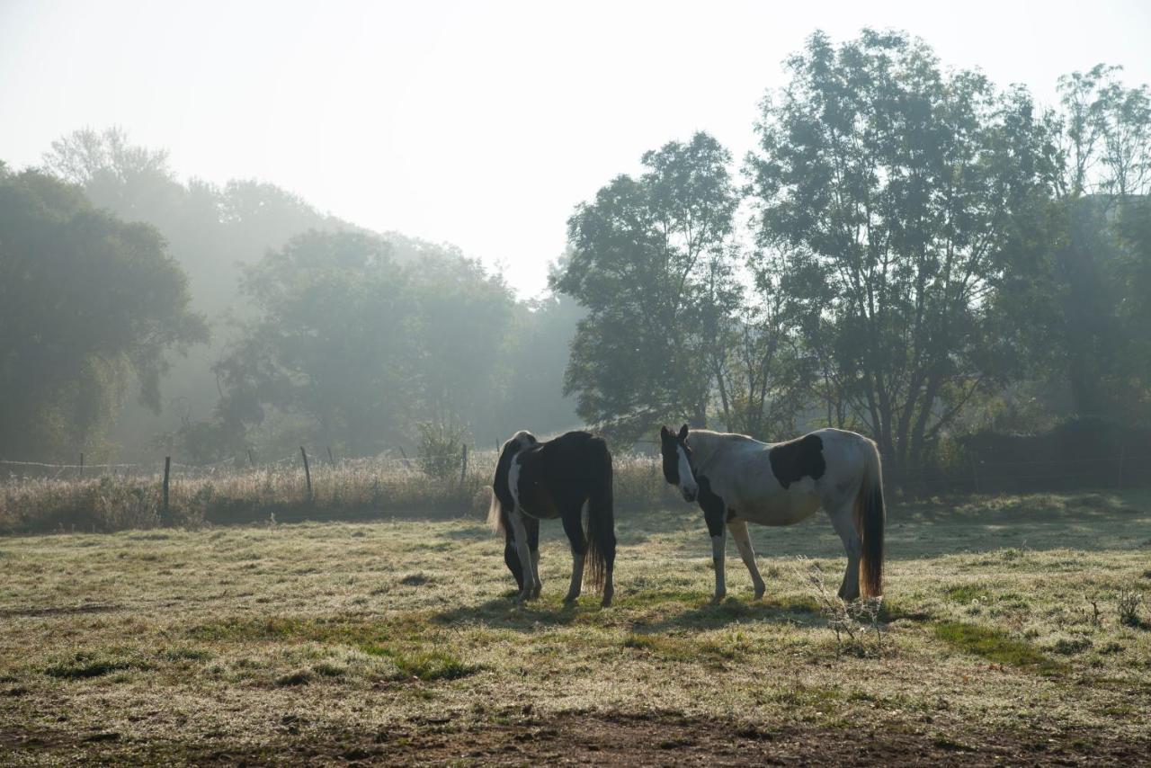 Ranchzimmer Am Hippo-Campus Reit- Und Therapiezentrum Deutsch Haslau Exteriör bild